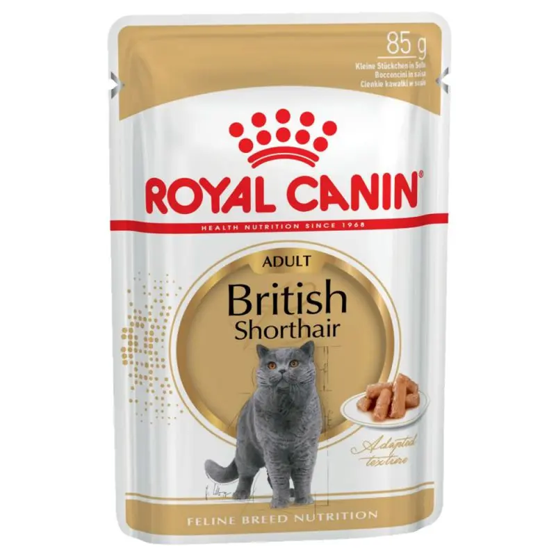 britishshorthair_wet_2.jpg