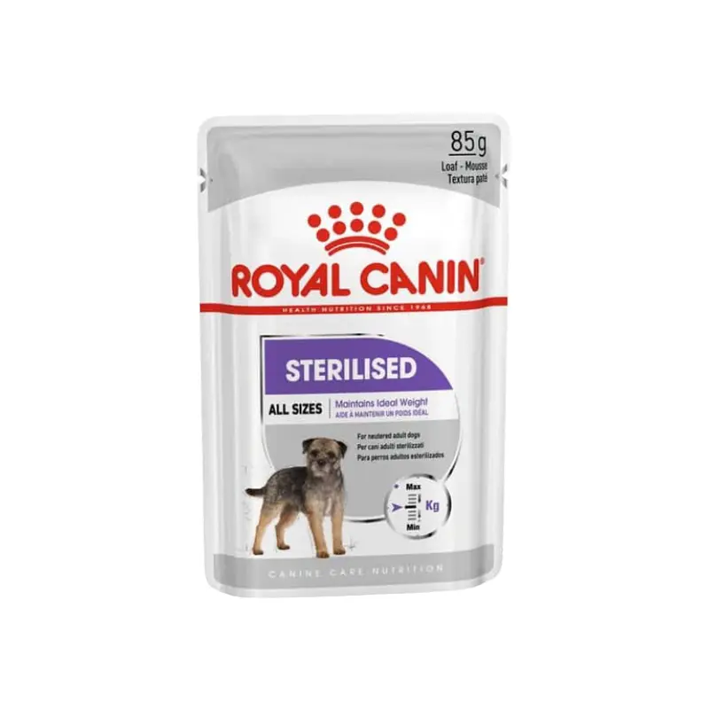 RC-Sterilised-Dog.jpg.webp